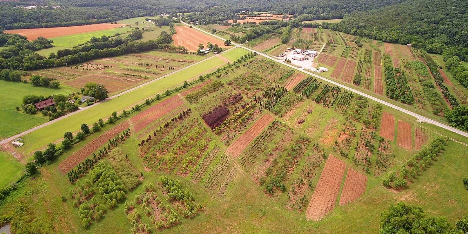 Hidden Valley Nursery